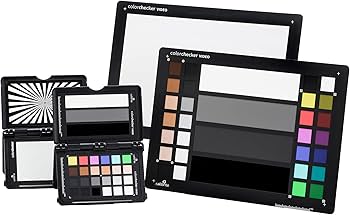 Amazon.co.jp: 【国内正規品】COLORCHECKER PASSPORT VIDEO（カラー