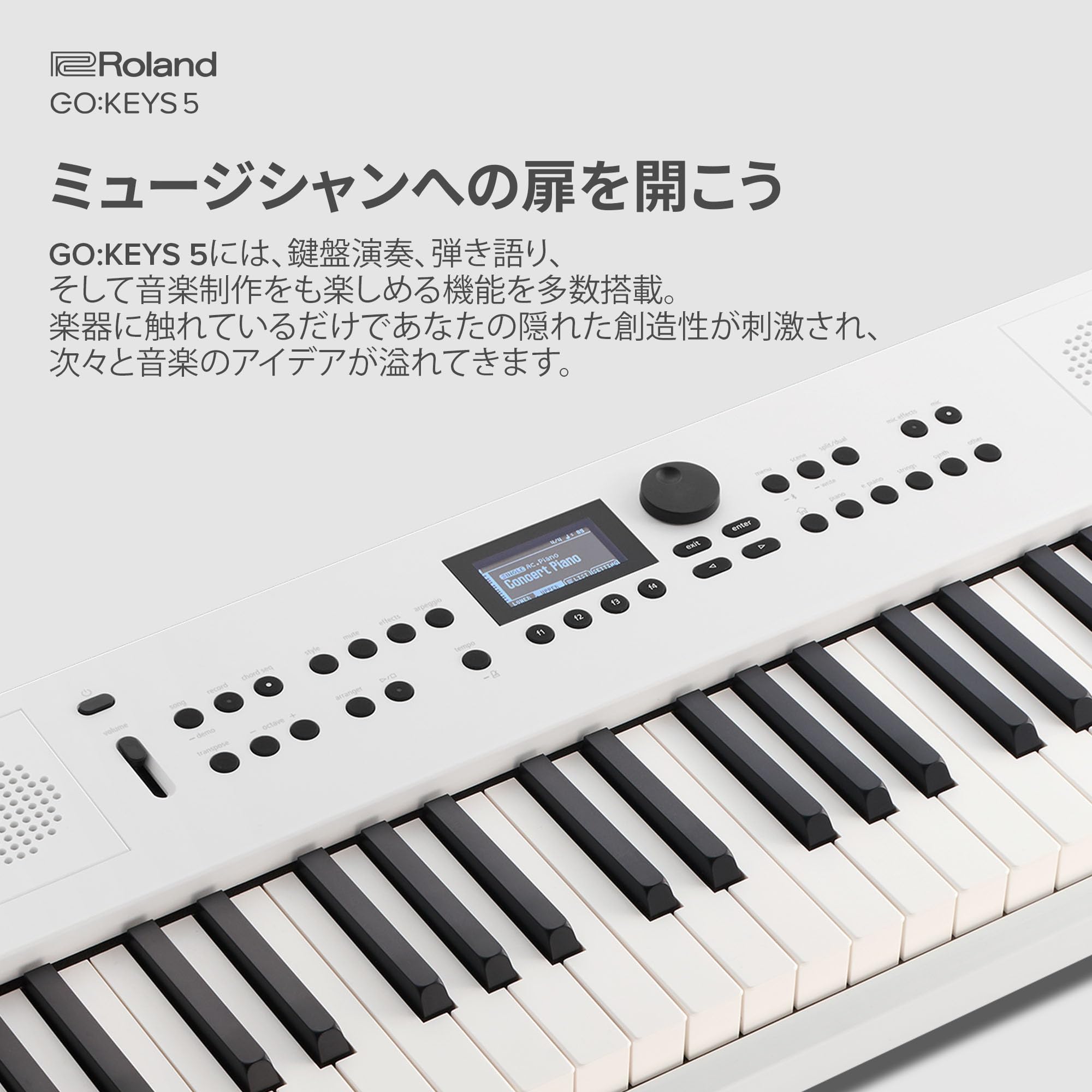 Amazon.co.jp: Roland ローランド 電子キーボード GOKEYS5-WH 61鍵盤