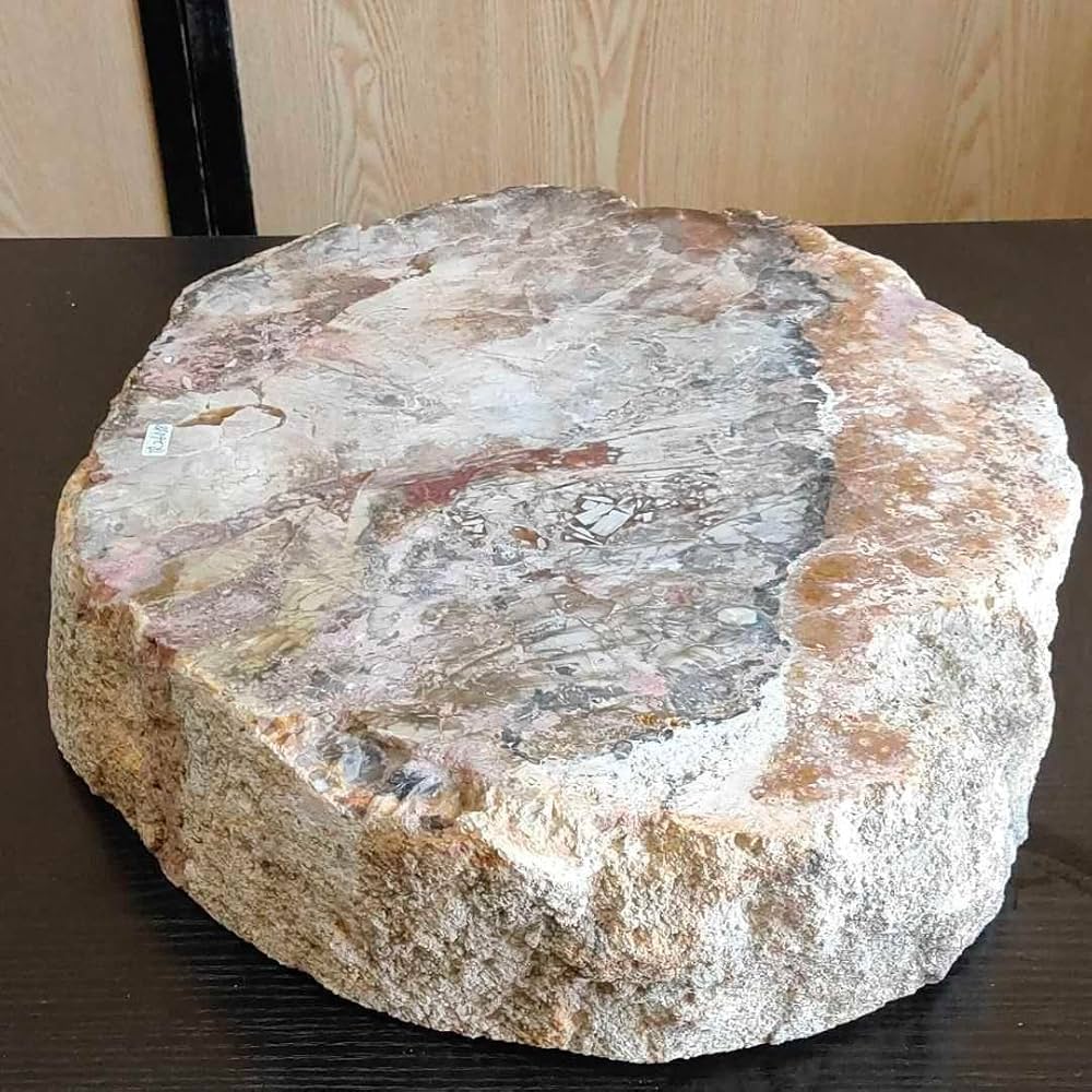 Amazon.co.jp: アリゾナ州で発掘された超大型珪化木の化石重量なんと