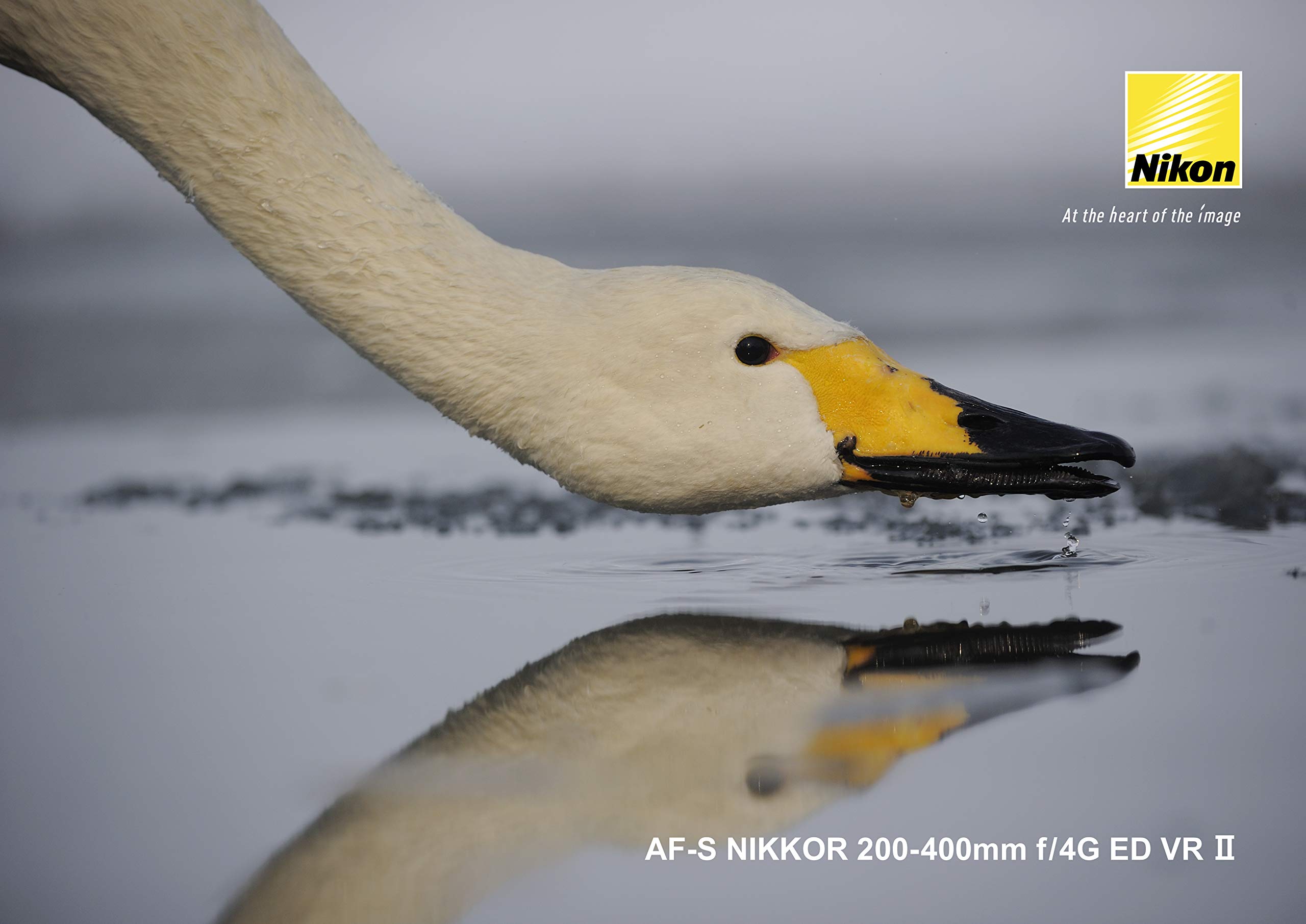 Amazon.co.jp: Nikon 望遠ズームレンズ AF-S NIKKOR 200-400mm f/4G ED