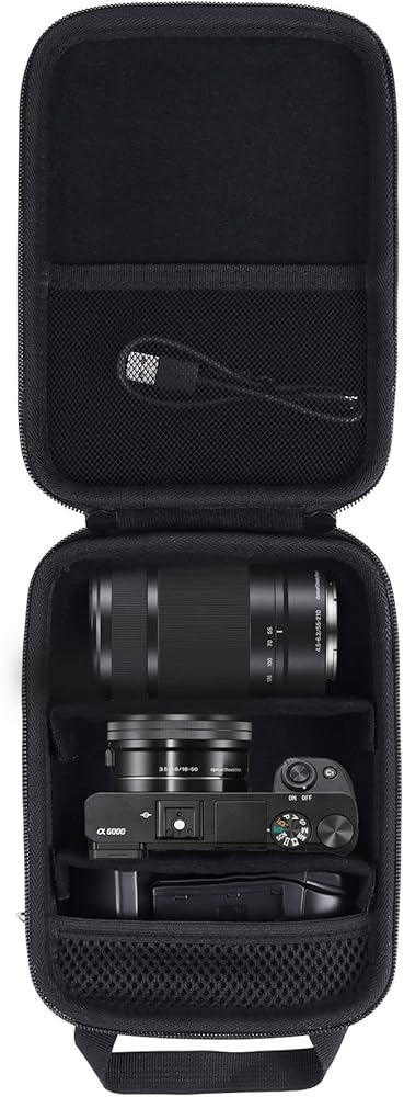 Amazon.com : Aenllosi Hard Carrying Case Compatible with Sony