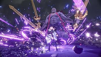 Amazon.co.jp: 【Switch】Fate/Samurai Remnant TREASURE BOX