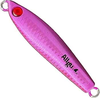 71oCE3LJEHL._AC_UF350,