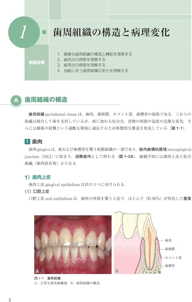 臨床歯周病学 第3版 | 村上 伸也, 申 基喆, 齋藤 淳, 山田 聡 |本