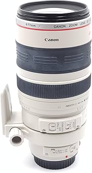 Amazon.com : Canon EF 100-400mm f/4.5-5.6L is USM Telephoto Zoom