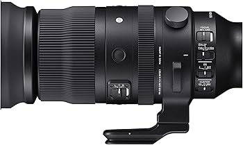 Amazon.co.jp: シグマ(Sigma) レンズ 150-600mm F5-6.3 DG DN OS Sony