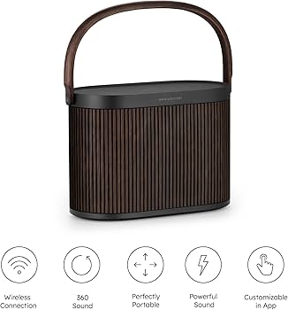 Amazon.com: Bang & Olufsen Beosound A5 - Portable Bluetooth