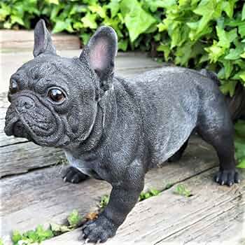 Amazon.co.jp: 犬の置物 フレンチブルドッグ N13886 黒フレンチ