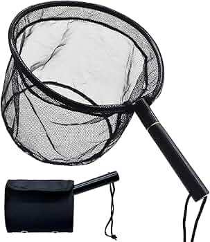 71ouRFrkxCL._AC_UF350,