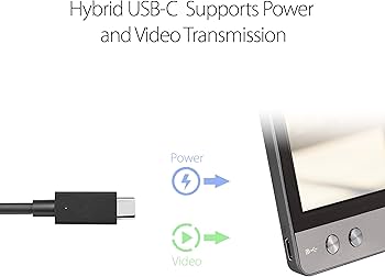 Amazon.com: ASUS ZenScreen MB14AC 14” Portable USB Type-C Monitor