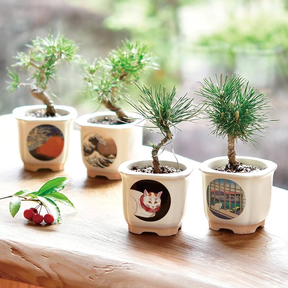 Amazon｜聖新陶芸 春/秋の 手のひら庭園 まめ盆栽 盆栽キット ミニ