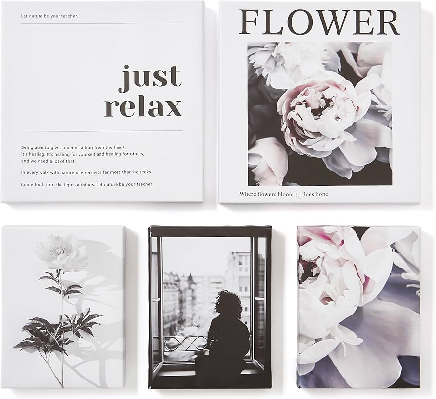 Amazon｜Francfranc フランフラン モノクロ アートボード 5枚セット