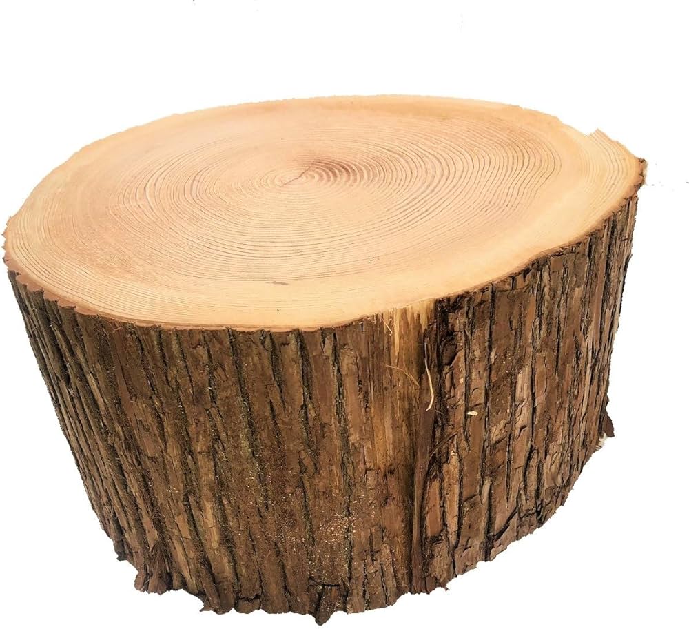 Amazon.co.jp: 川島材木店 杉切り株でできた丸太の椅子 高さ約40cm Φ約