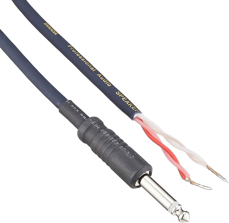 Amazon.co.jp: ヤマハ YAMAHA スピーカーケーブル [YSC10P] : 家電＆カメラ