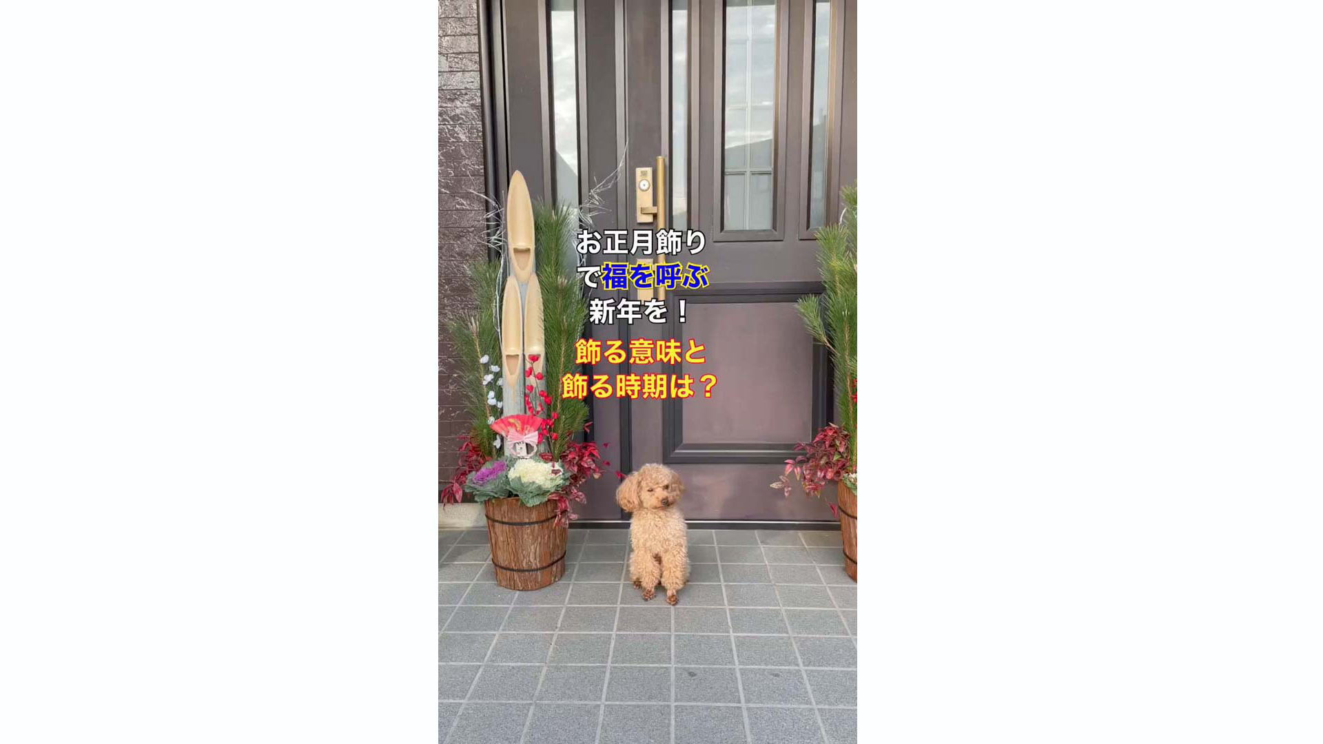 Amazon | 福を呼ぶ飾りやすい！おめでたいミニ門松 (小サイズ 2個