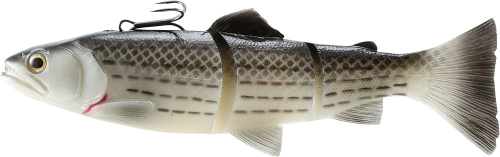 Amazon.co.jp: Savage Gear 3D 8インチ ラインスルー トラウト