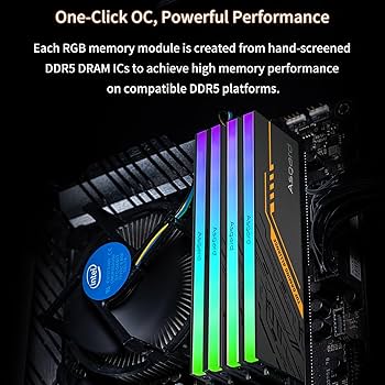Amazon.co.jp: DDR5 RAM ASGARD Valkyrie & TUF RGBシリーズ 32GB