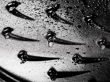 71ply0lmEzL._AC_UF350,