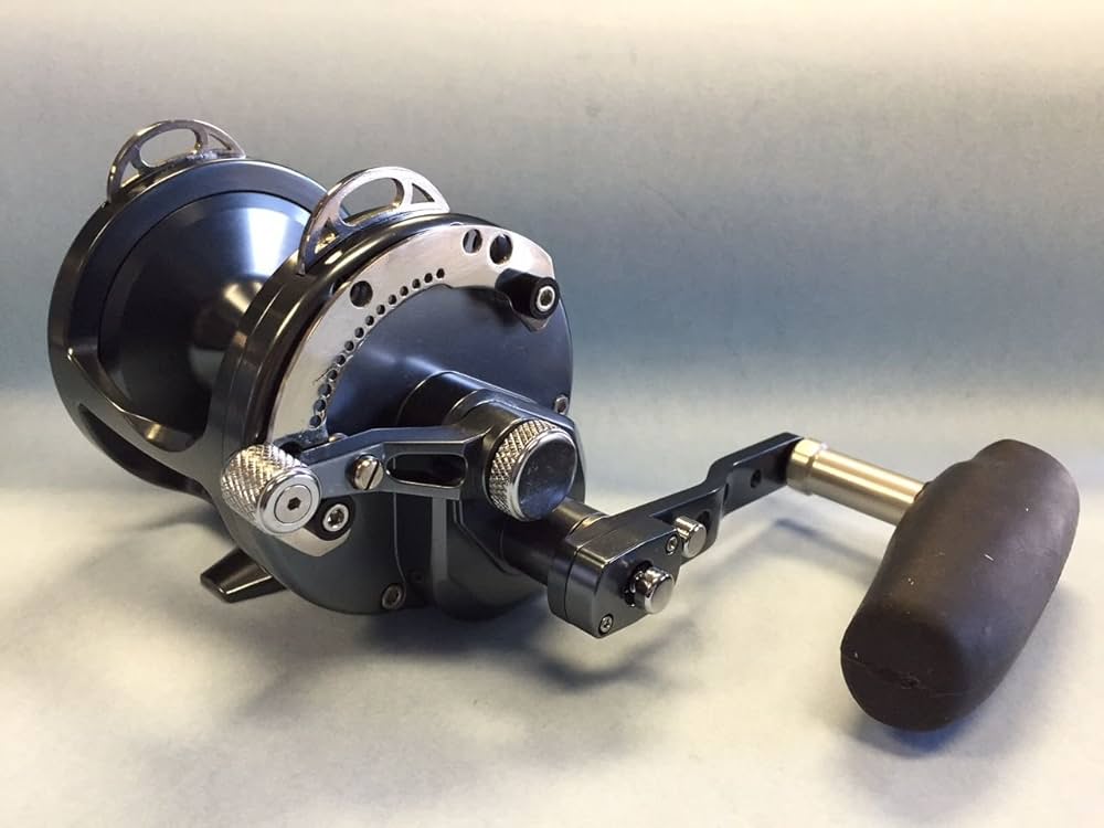 Amazon | Avet HXW5/2 Raptor コンベンショナルリール ガンメタル