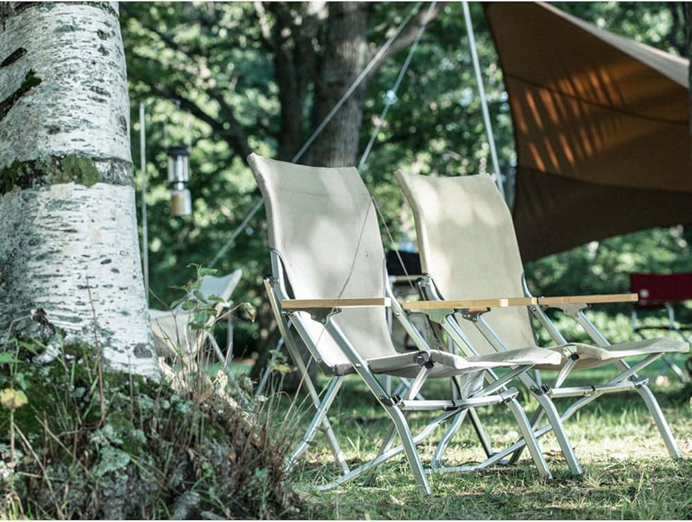 Amazon.co.jp: スノーピーク(snow peak)ローチェア30カーキ2個