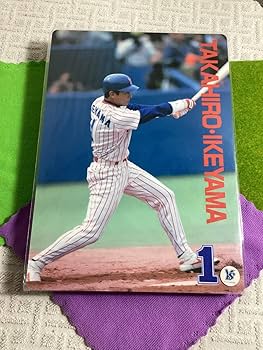 Amazon.co.jp: 東京ヤクルトスワローズ 池山隆寛 ブンブン丸 背番号1