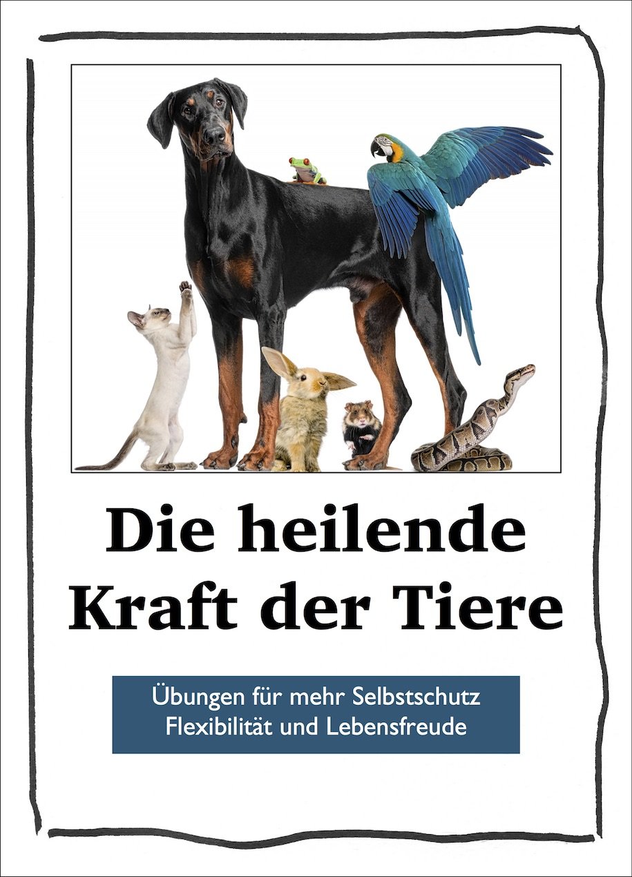 Amazon.de: Stephan Konrad Niederwieser: Bücher, Biographie