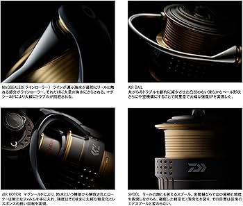 Amazon | ダイワ(Daiwa) スピニングリール 15 イグジスト 3012H (3000