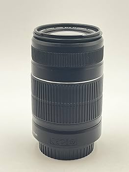 Amazon.co.jp: (白箱)EF-S55-250mm F4-5.6 IS II(#) : 家電＆カメラ