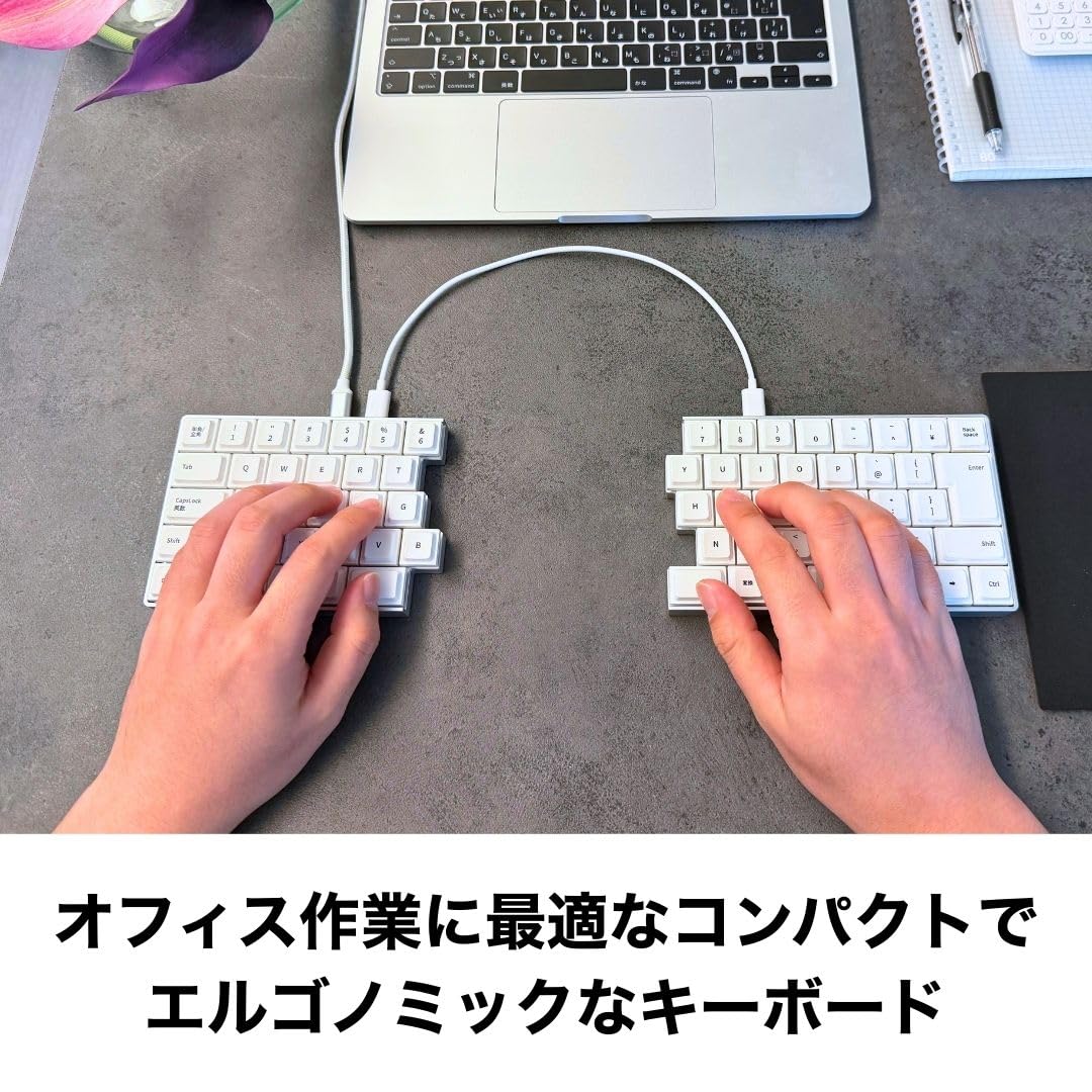 Amazon | ライジュウ NISABI V2 LAK キーキャップ 日本語配列 分割式