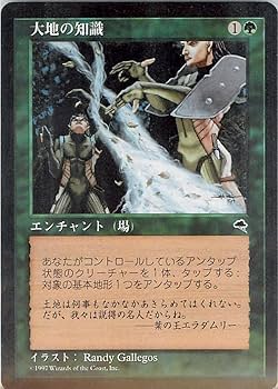 Amazon.co.jp: マジックザギャザリング MTG 緑 日本語版 大地の知識
