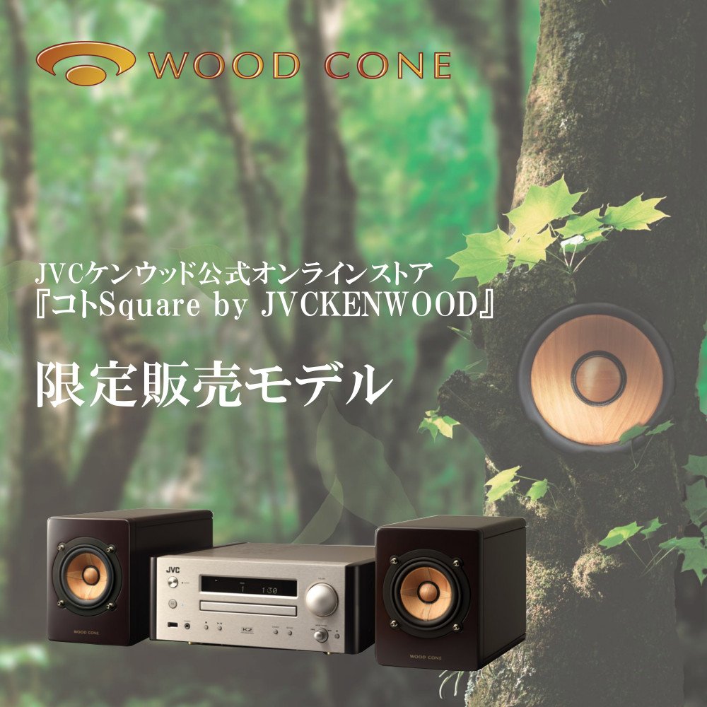 Amazon.co.jp: JVC ウッドコーンシステムコンポ EX-HR11 : 家電＆カメラ