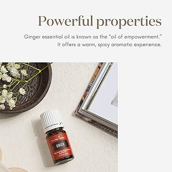 Amazon.com: Ginger Essential Oil 5ml by Young Living Essential