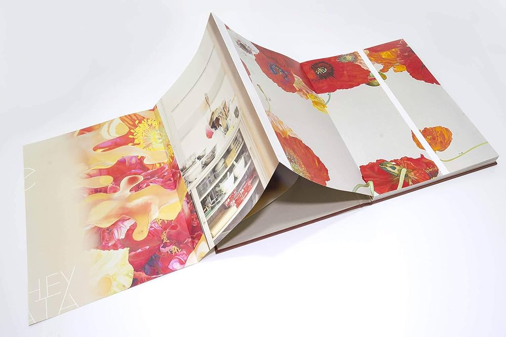 Amazon.co.jp: 岩田壮平 画集 『 cycle 』【頁が蛇腹状に広がるため