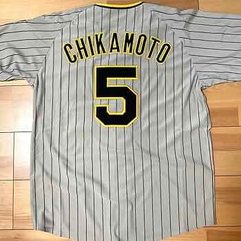 71rYLBe8NoL._AC_UF350,