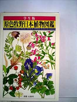 71rep+t2EdL._AC_UF350,