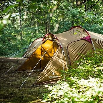 Amazon | スノーピーク(snow peak) テント ヴォールト SDE-080 | Snow