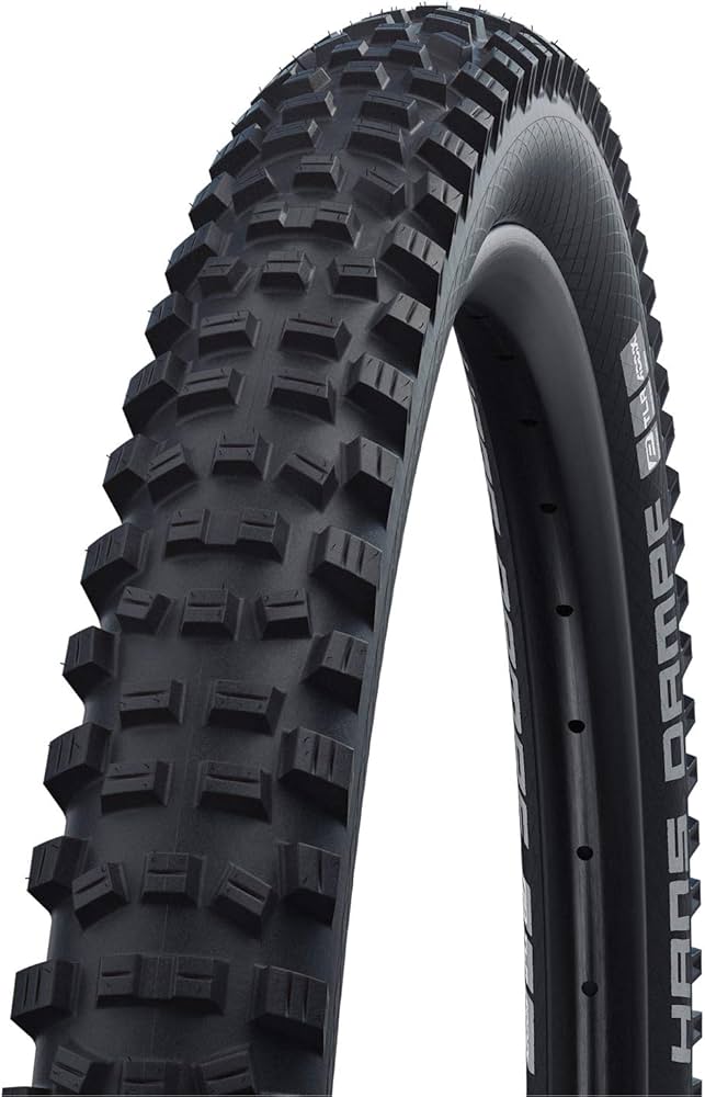 Amazon.com : Schwalbe - Hans Dampf All Terrian and All MTB