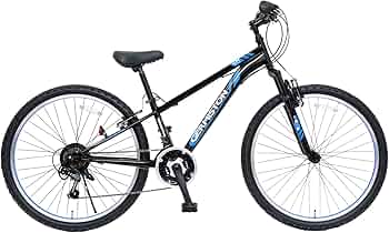 71sF3Dao0KL._AC_UF350,