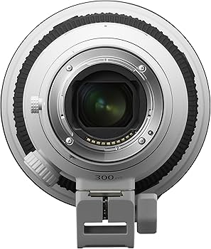 Amazon.co.jp: Sony FE 300mm F2.8 GM OSS : 家電＆カメラ