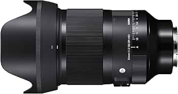 71sd-P5IUUL._AC_UF350,