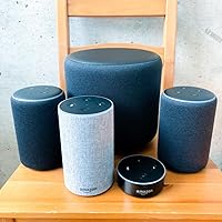Amazon.co.jp: Echo Sub (エコーサブ) - Echoシリーズ用サブウーファー