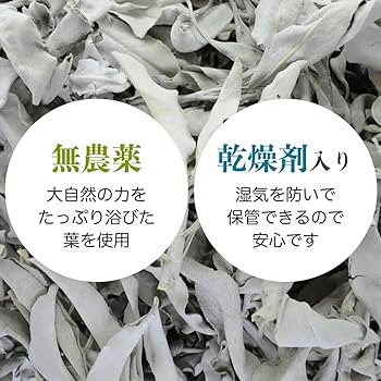 Amazon | 無農薬 ホワイトセージ 枝付き (クラスター) 約50g