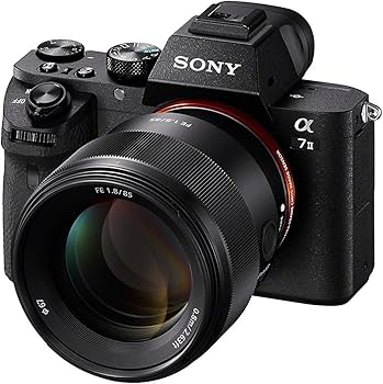 Amazon.com: Sony FE 85mm F1.8 Lens SEL85F18 Large Aperture for