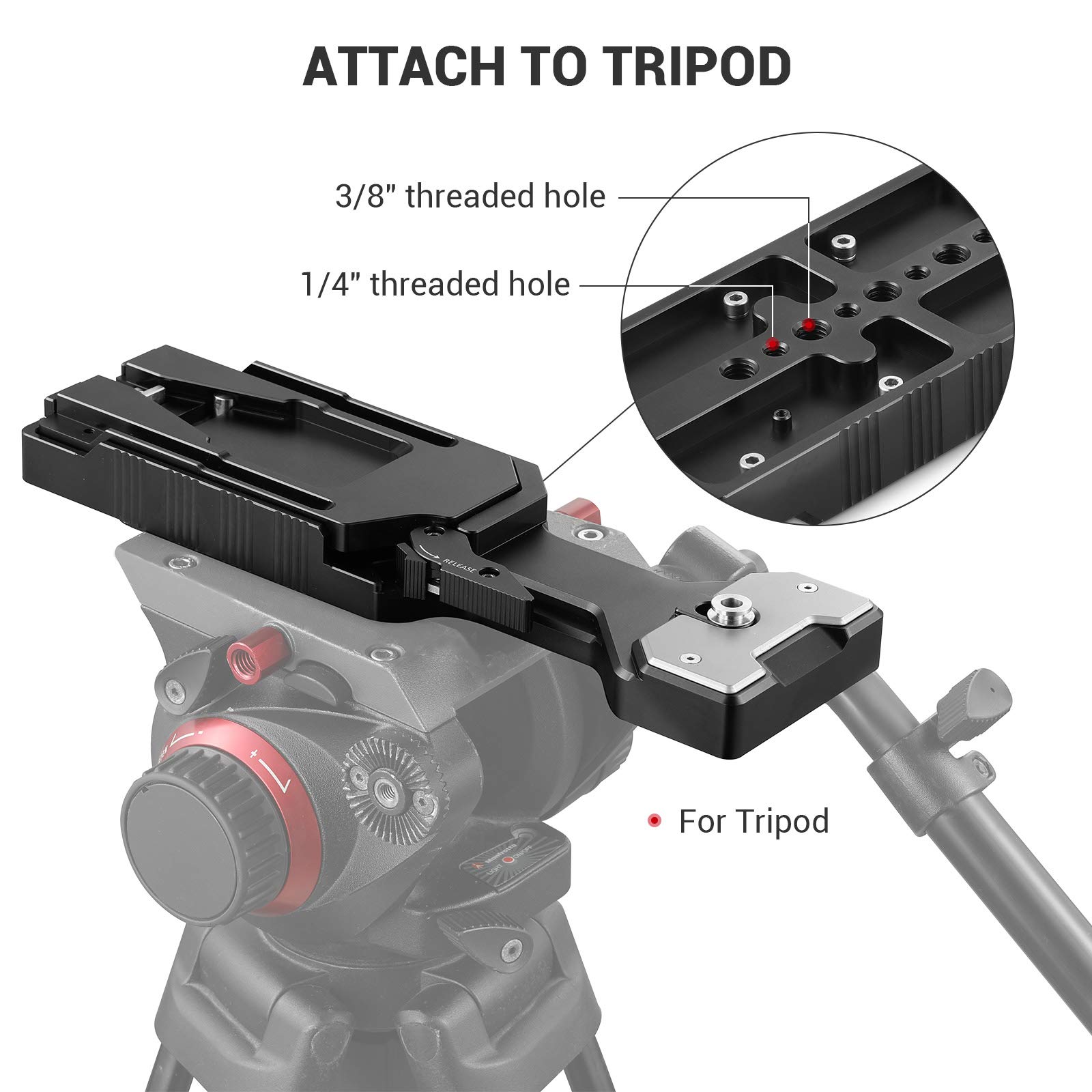 Amazon.com : SMALLRIG Universal Quick Release Tripod Adapter Plate