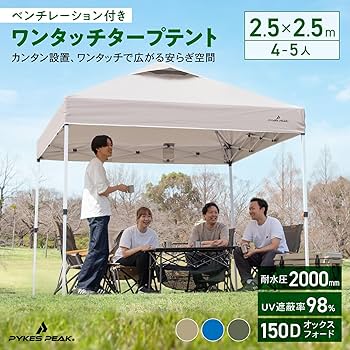 8143ekn8hFL._AC_UF350,