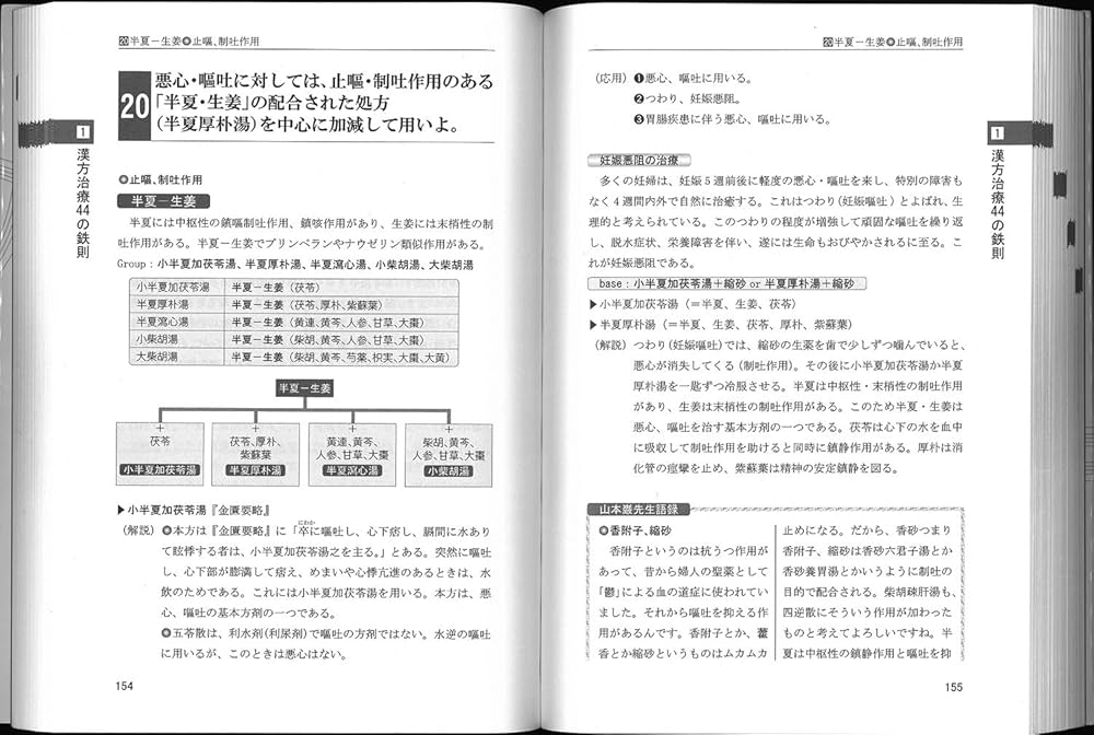 漢方治療44の鉄則―山本巌先生に学ぶ病態と薬物の対応 | 坂東 正造 |本