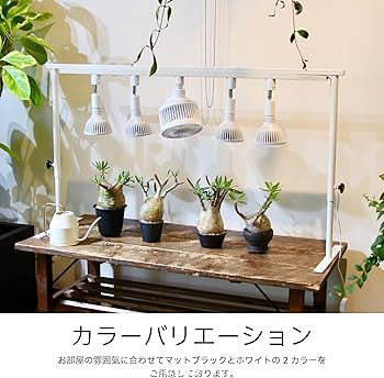 Amazon.co.jp: LIM IRON CRAFT ライトレールスタンド ライトスタンド