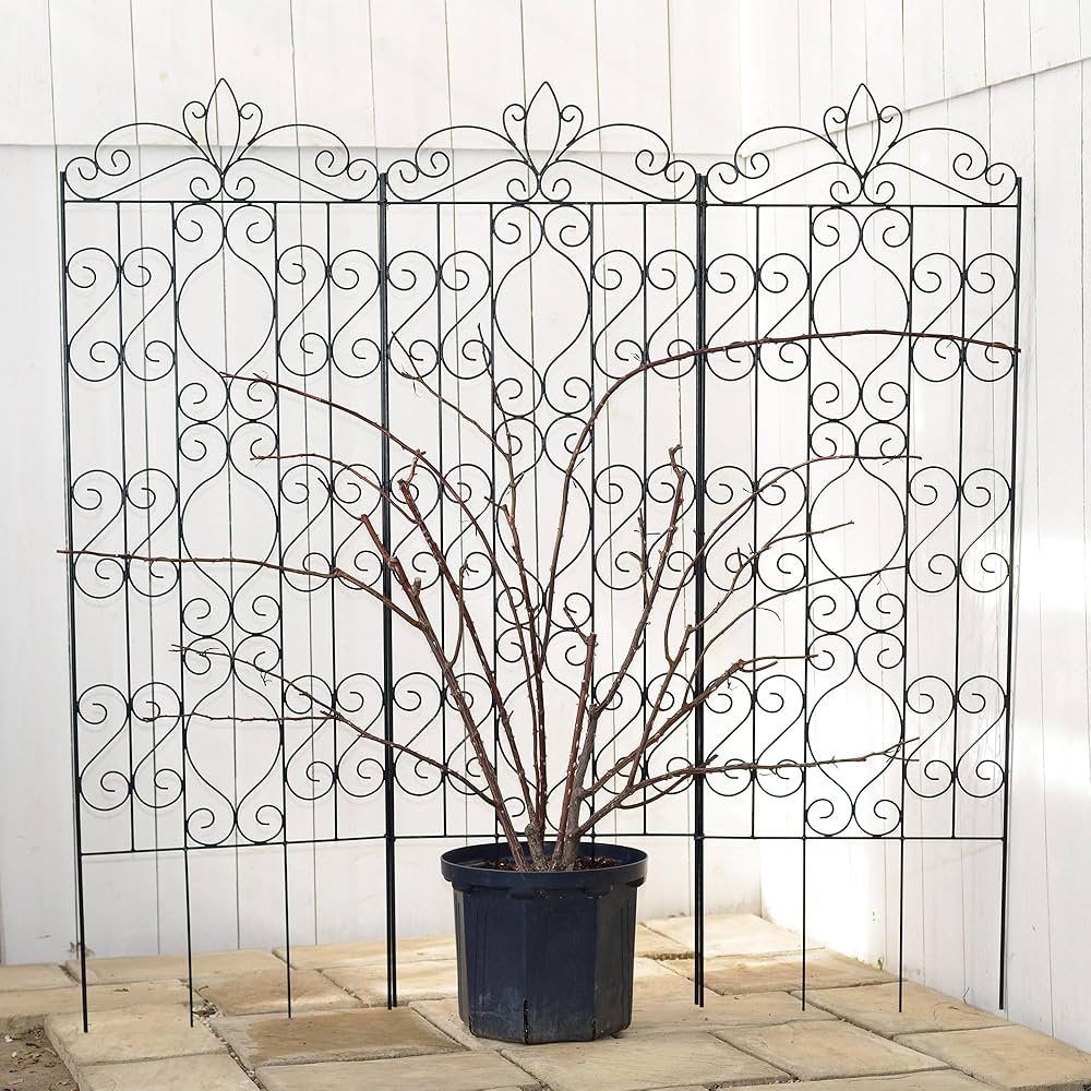 Amazon | タカショー G-Story デザイントレリス 1800 | トレリス