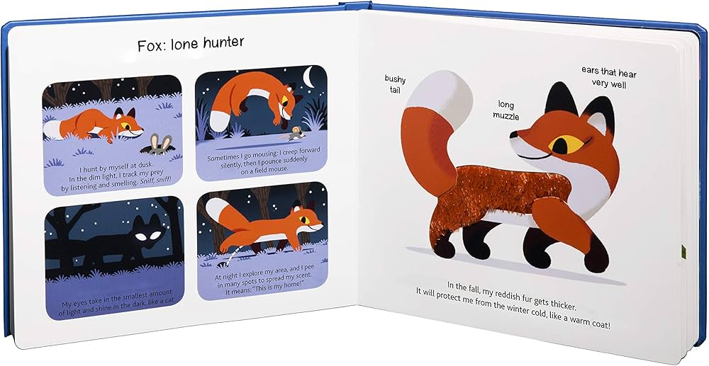 815bd1wOlyL._AC_UF1000,