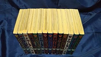 816LzOVS9XL._AC_UF350,